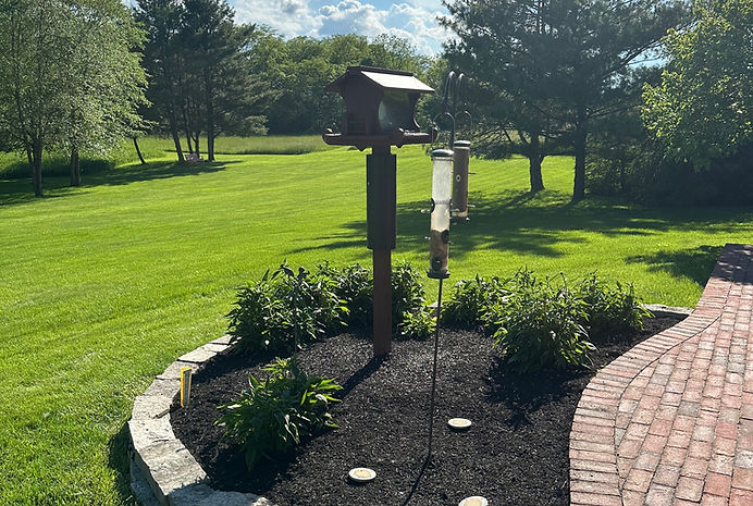 A bird house in the middle of a garden