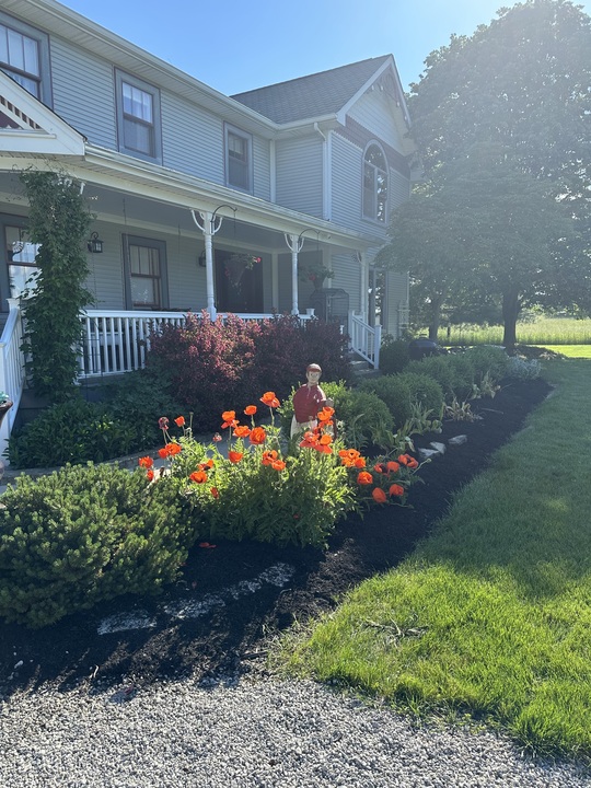 A house with a flower bed in front of it